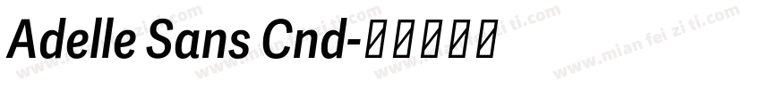 Adelle Sans Cnd字体转换